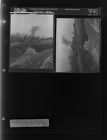Clearing Land (2 Negatives), March 22-23, 1967 [Sleeve 27, Folder c, Box 42]
